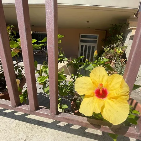 - Independent In Quiet Area Apartmán